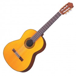 Guitarra Criolla Hidden Con Funda